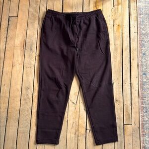 Men's Zara Deep Burgundy Jogger Pants